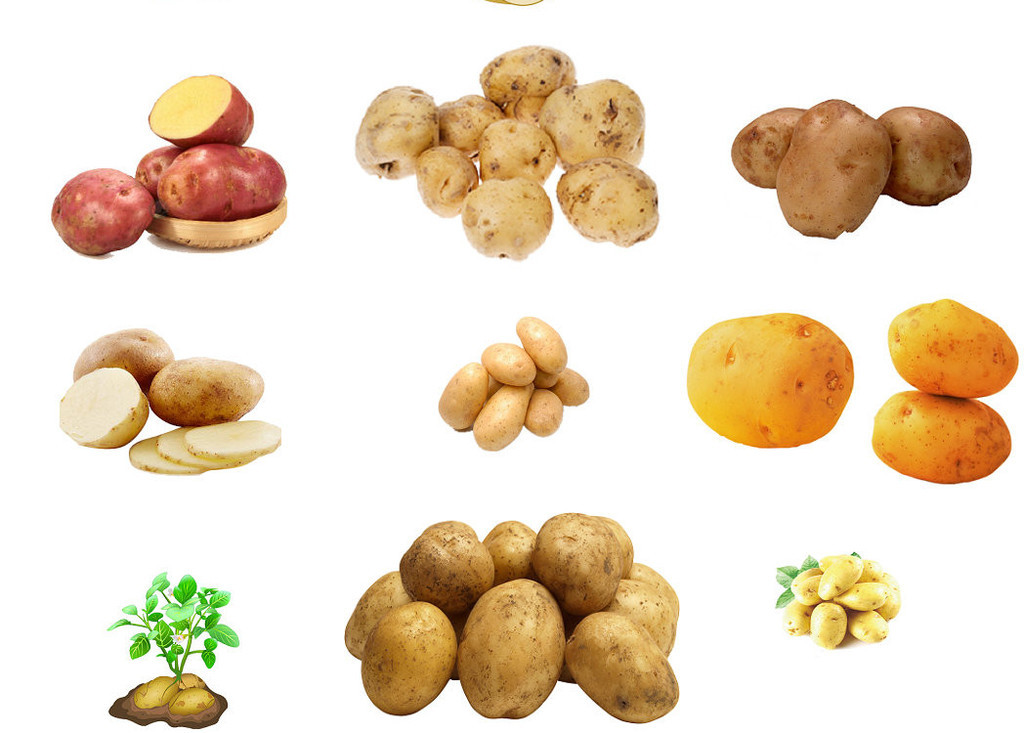 马铃薯土豆海报设计素材