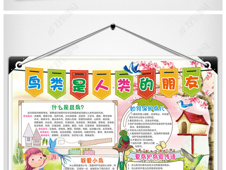 爱鸟护鸟小报保护鸟类手抄报电子小报