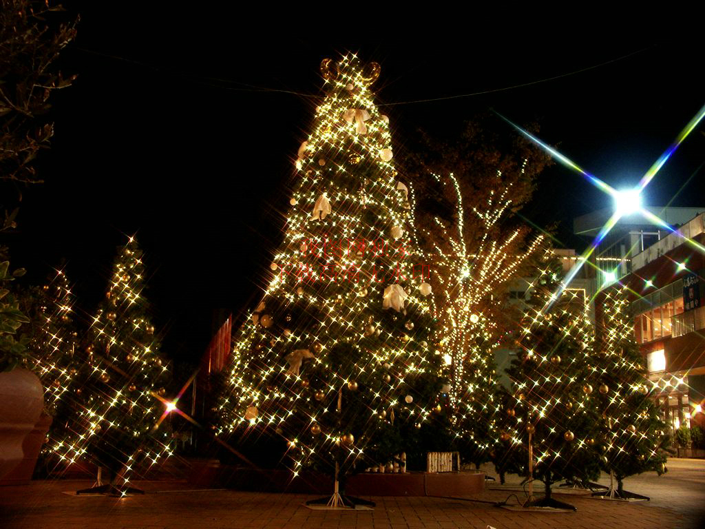 平安夜图片大全最新 16398239-5e706050c4ba39ccee2f4d25755984e5.jpg