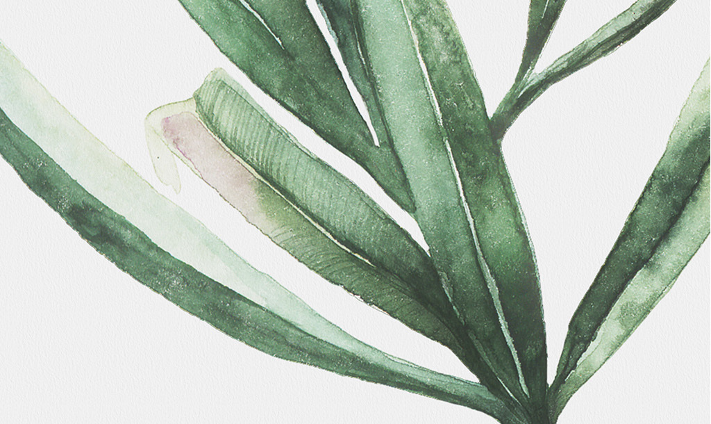 高清简约小清新北欧风格植物叶子装饰画