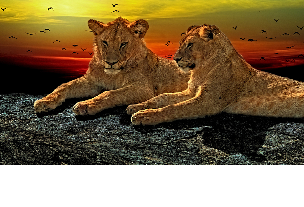16421975-10a4c480ef948f518203ed04600cd280-2.jpg