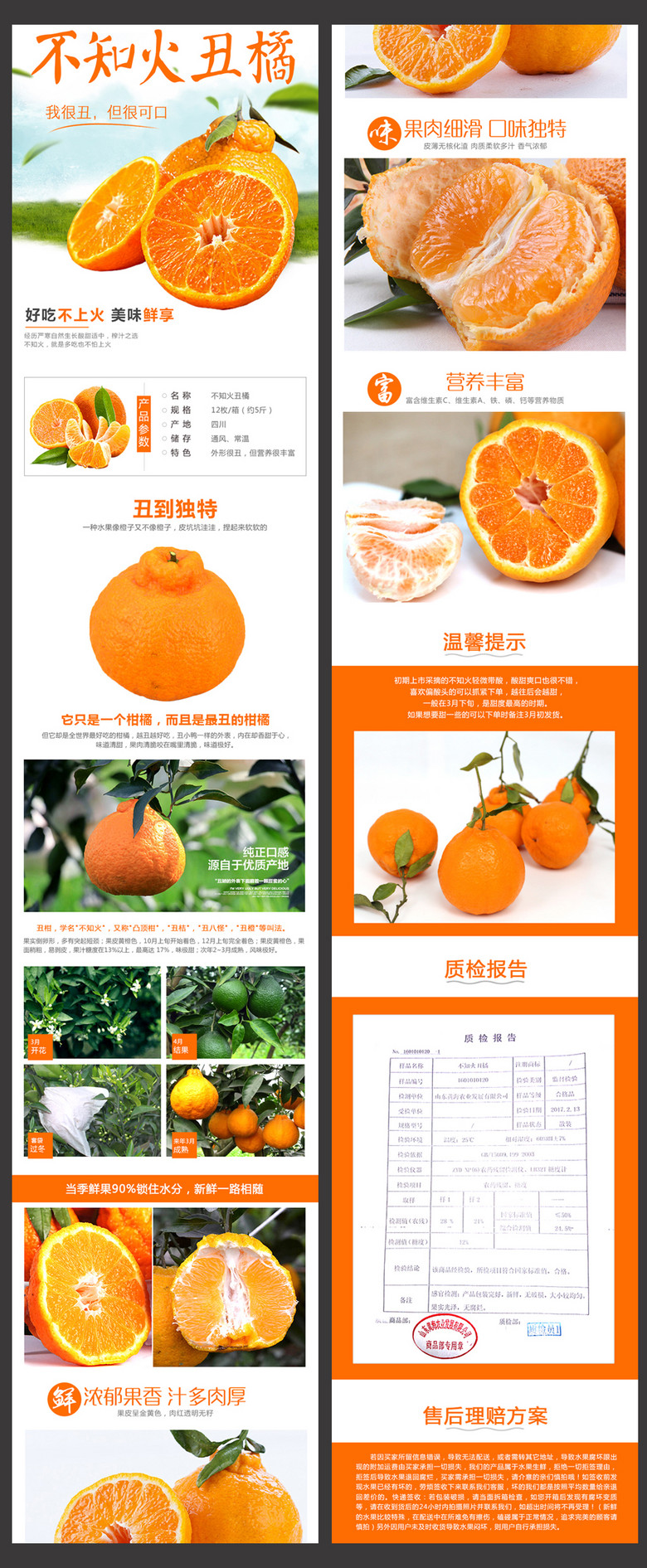 不知火丑橘淘宝详情页psd分层模板