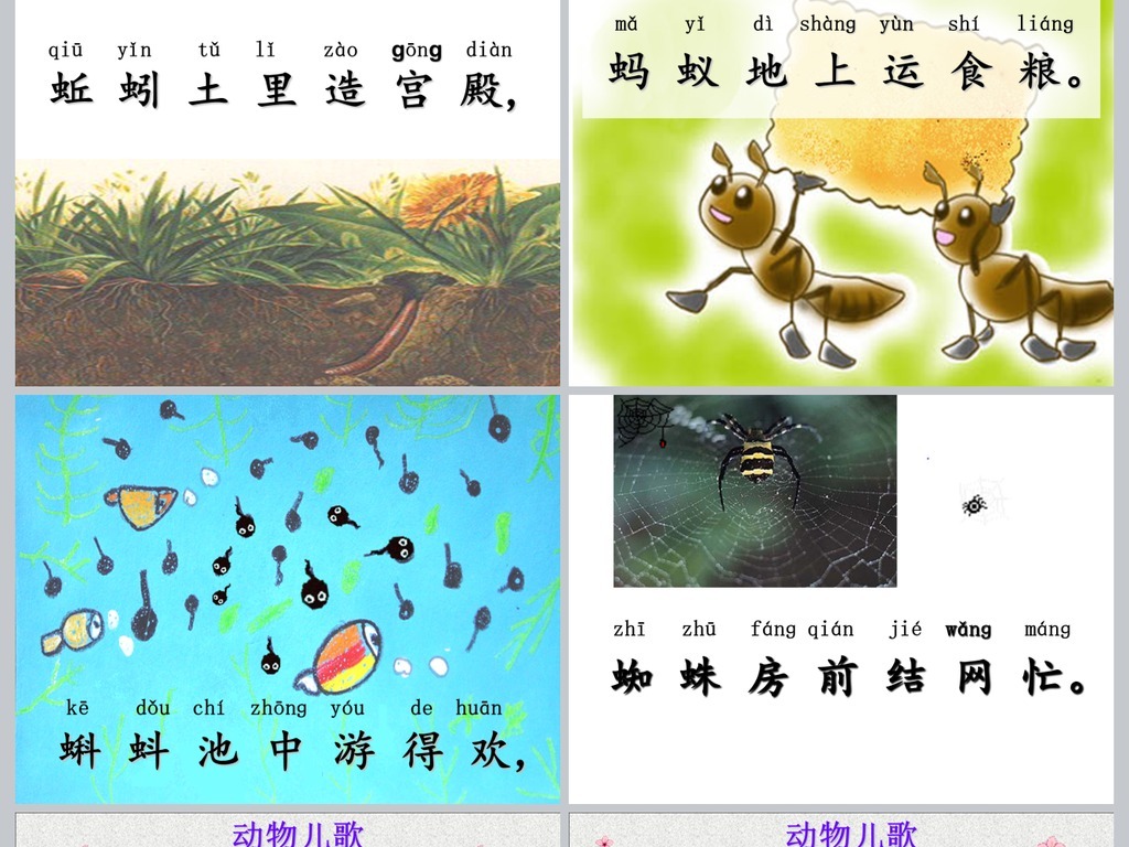 【本作品下载内容为:"部编版小学语文一年级下册动物儿歌PPT"模板,其他内容仅为参考,如需印刷成实物请先认真校稿,避免造成不必要的经济损失。】 【声明】未经权利人许可,任何人不得随意使用本网站的原创作品(含预览图),否则将按照我国著作权法的相关规定被要求承担最高达50万元人民币的赔偿责任。