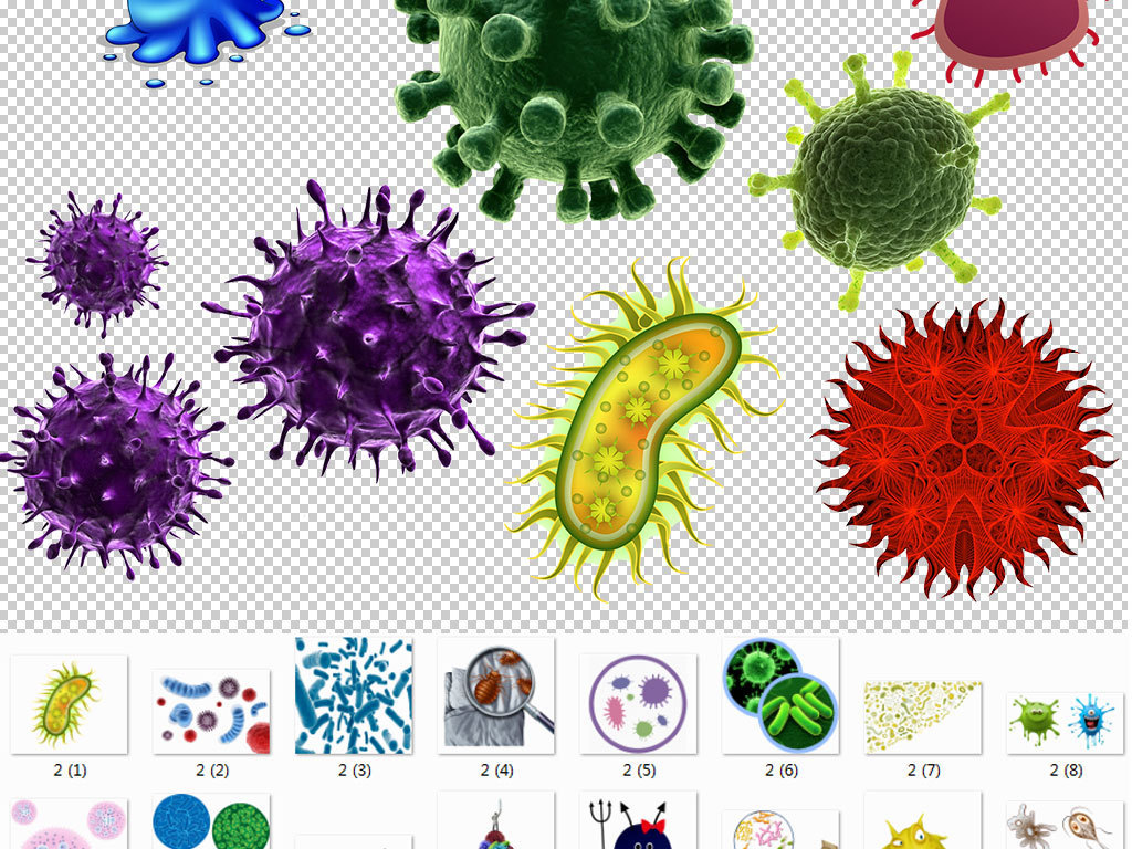 说是细菌病毒感染，有没有可能是幼儿急疹