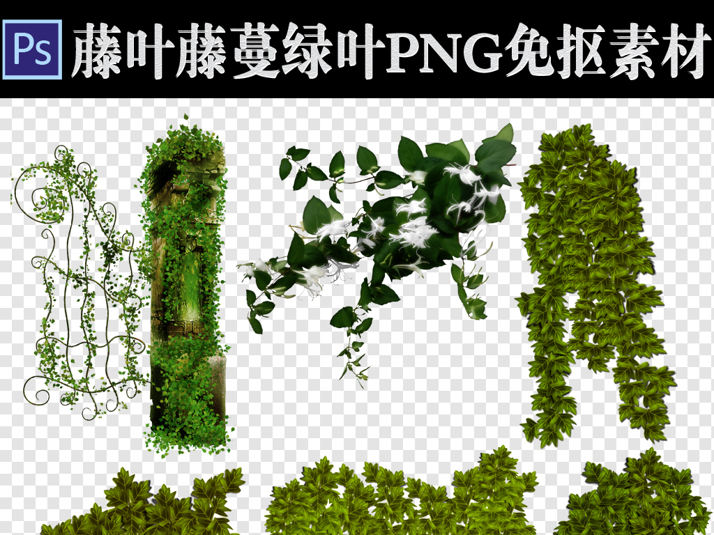 素材300dpi淘宝美工设计素材海报素材装饰图案效果素材植物png藤蔓png