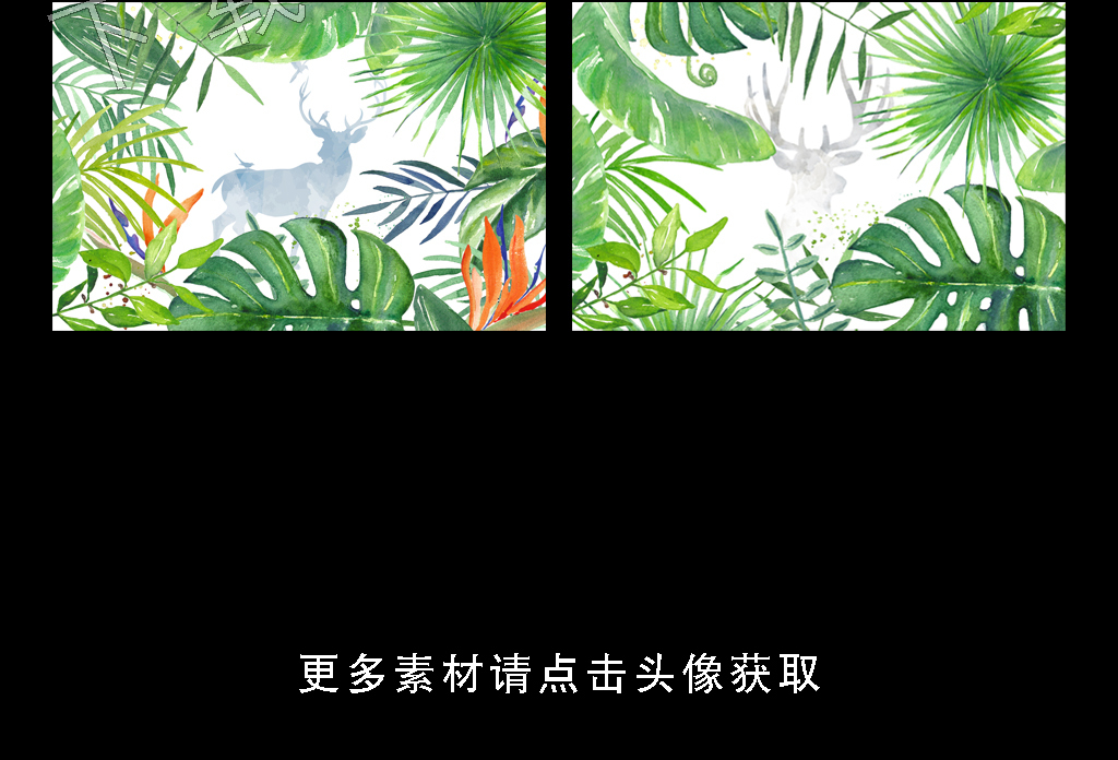 高清简约小清新北欧风格植物叶子装饰画图片