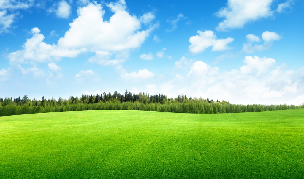 绿色草地天空云树美丽风景高清背景素材