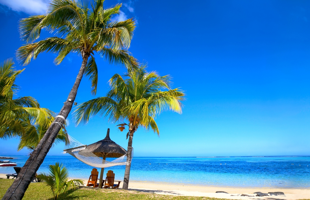 热带天堂沙滩棕榈树蓝色天空海洋阳光夏天