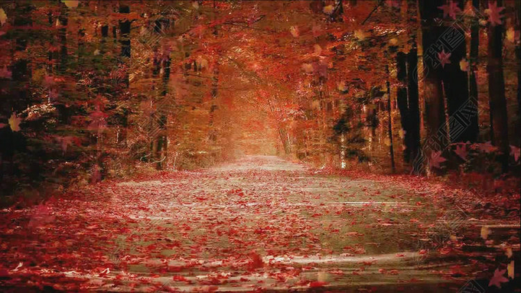 经典歌曲舞蹈老歌《往事随风》高清视频