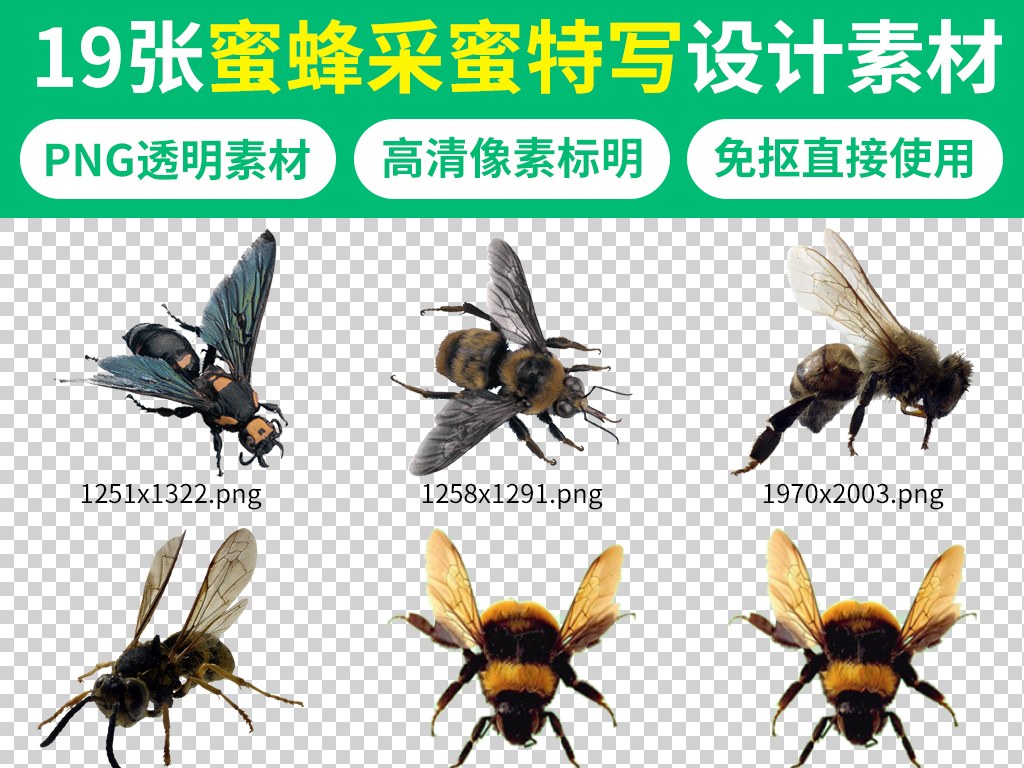 v自然自然蜜蜂元素特写>工具海报采蜜素材恐龙广告素材图片动物孔版权关于蜂蜜游戏图片