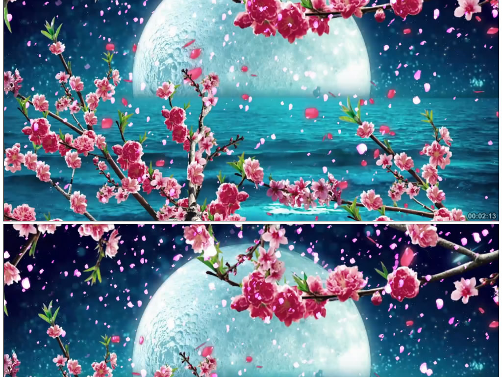 凉凉(三生三世十里桃花)杨宗纬张碧晨