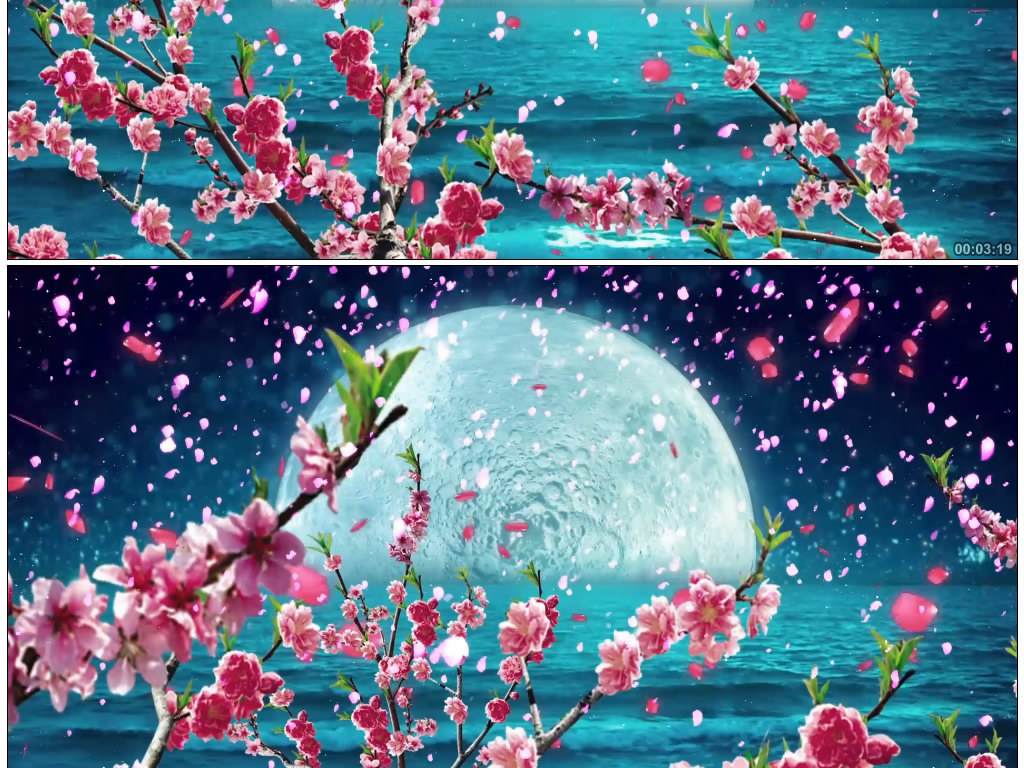 凉凉(三生三世十里桃花)杨宗纬张碧晨
