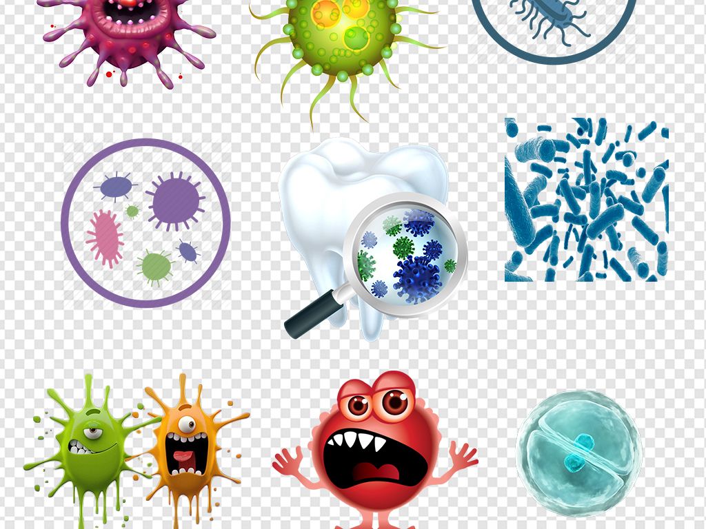 真菌 细菌 病毒的区分