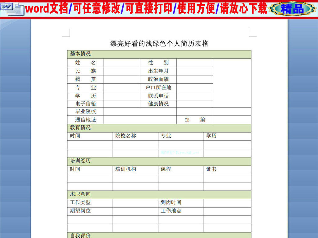 浅绿色的个人简历空白表格模板图片