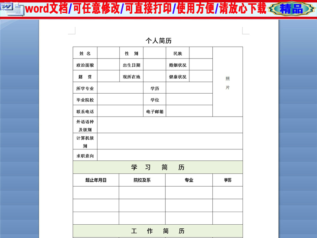 保险客户经理个人简历表格