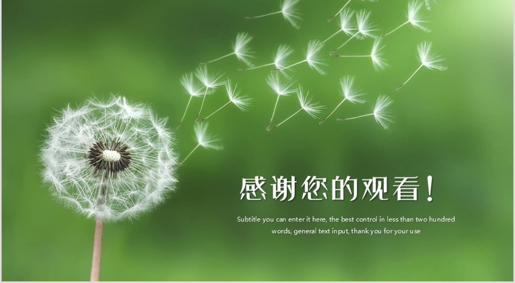 蒲公英教学公开课PPT模板