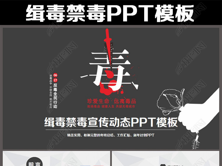 国际禁毒日禁毒知识学习宣传PPT模板(图片编