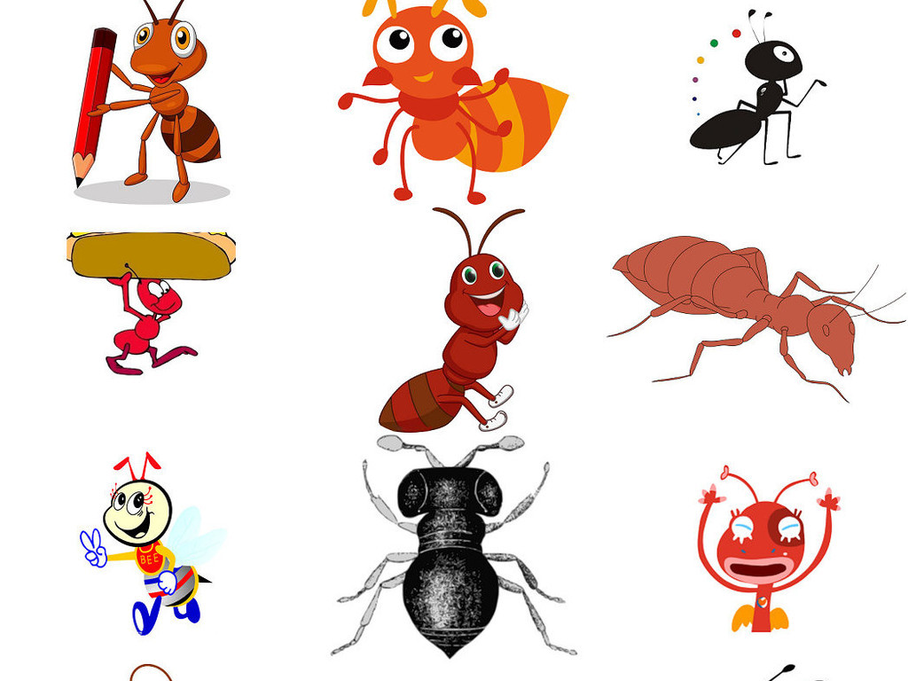 16629190-eeed879abf099bd356c614c67851fcf2-2.jpg