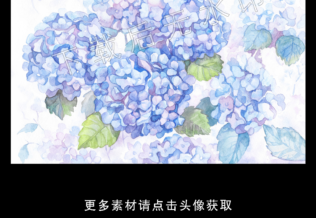 高清简约小清新热带雨林植物叶子横幅装饰画图片