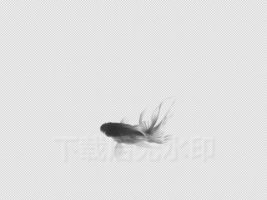【本作品下载内容为:"水墨画金鱼小鱼水里游动高清图片素材带通道"模板,其他内容仅为参考,如需印刷成实物请先认真校稿,避免造成不必要的经济损失。】 【声明】未经权利人许可,任何人不得随意使用本网站的原创作品(含预览图),否则将按照我国著作权法的相关规定被要求承担最高达50万元人民币的赔偿责任。