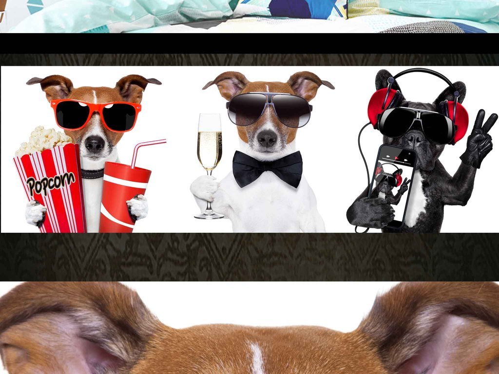 高清现代简约幽默小狗宠物装饰画床头画