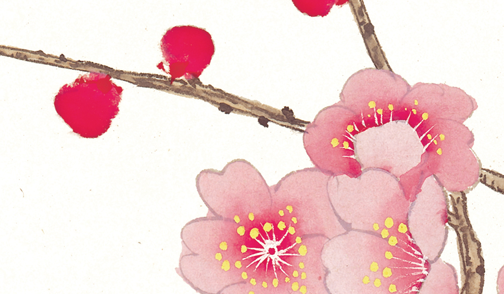高清国画梅花工笔梅花