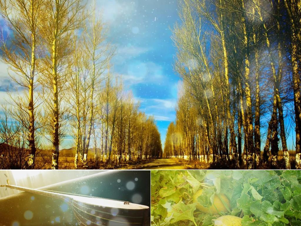 歌曲《怀念战友》舞台背景视频