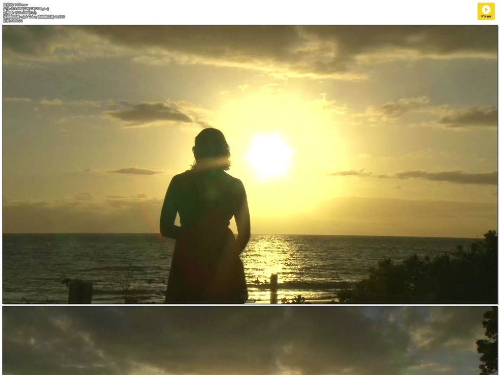 女人海边看夕阳剪影