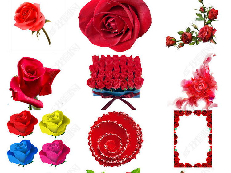 鲜花红玫瑰卡通红玫瑰精美红玫瑰3图片下载p