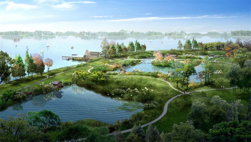 公园湿地效果图|公园|湿地
