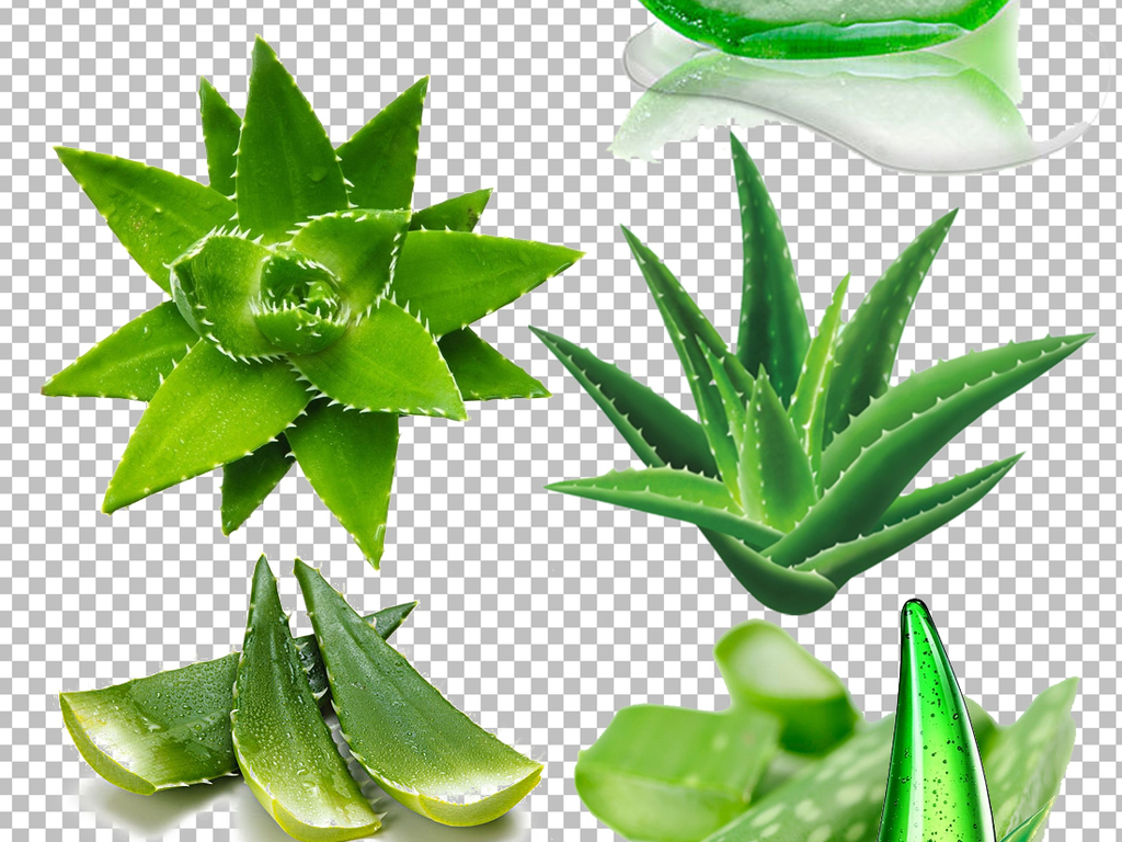 芦荟叶芦荟胶化妆品海报PNG素材