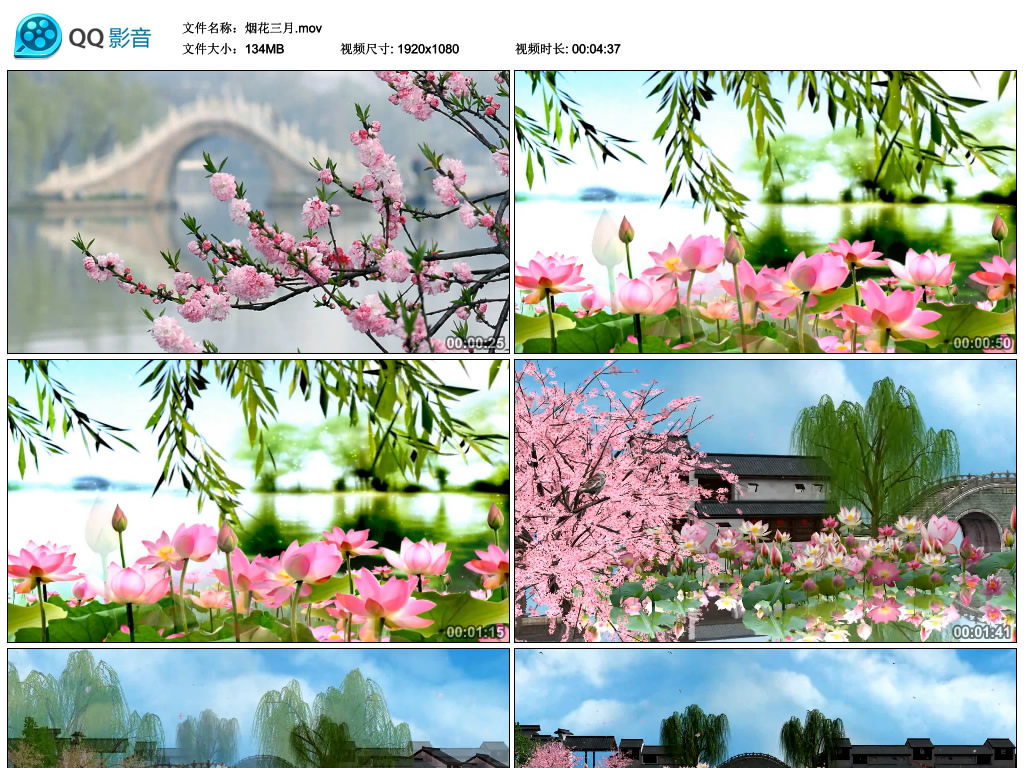 江南雨中烟花三月扬州船湖水桥桃花丹顶鹤