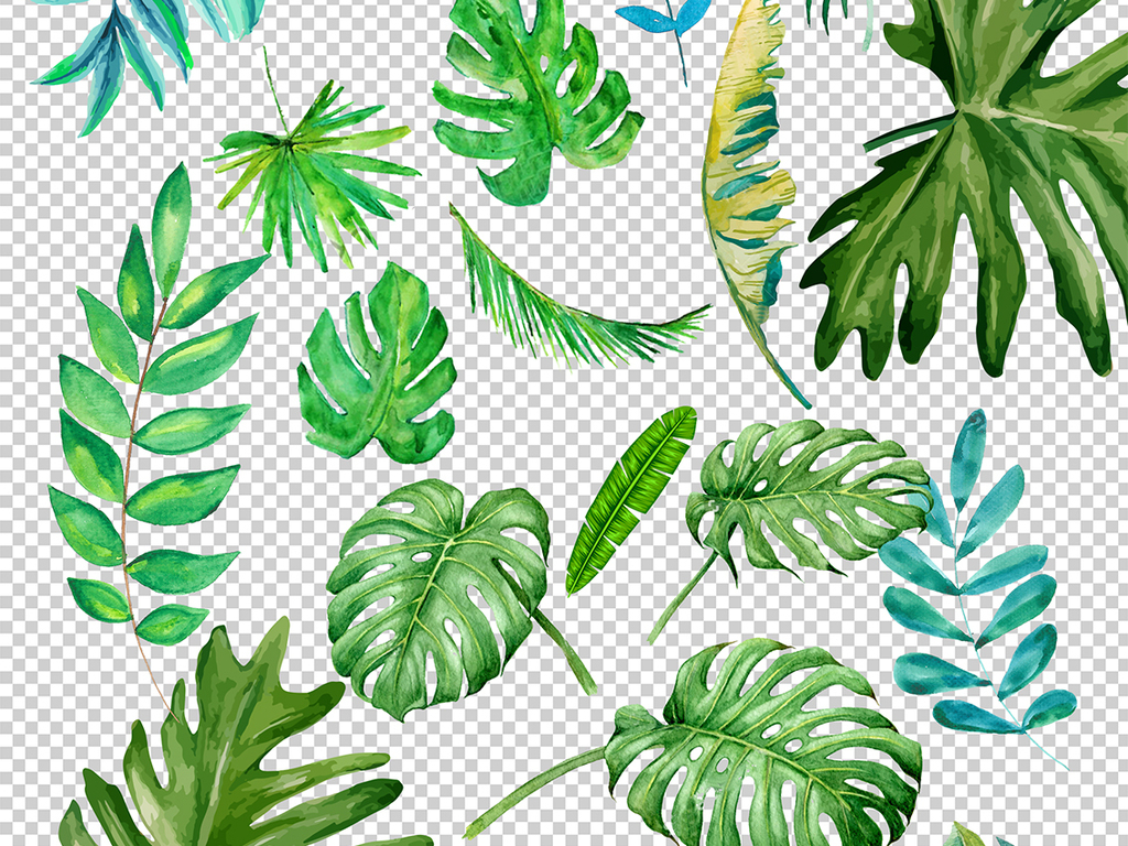 设计元素 自然素材 树叶 > 小清新北欧美式手绘插画水彩绿植设计素材图片