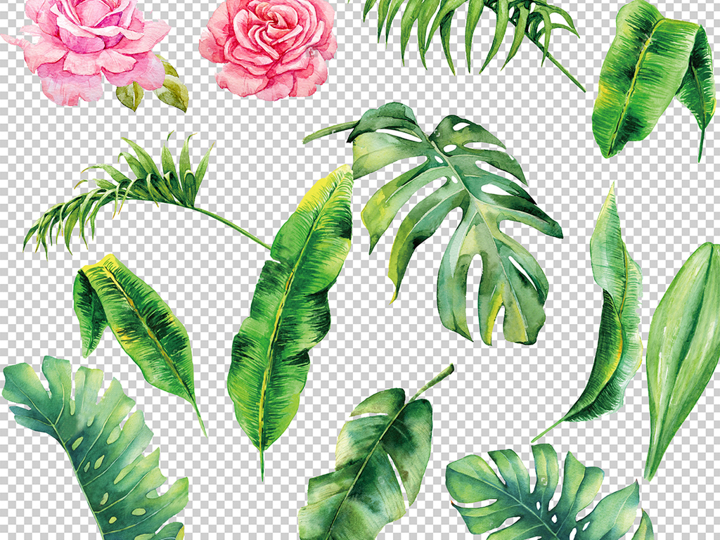 设计元素 自然素材 树叶 > 北欧小清新美式手绘插画水彩绿植设计素材图片