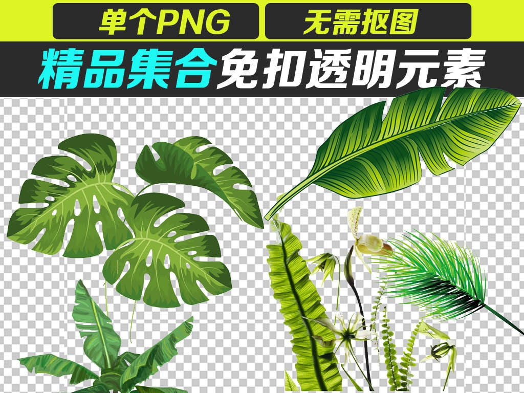 北欧简约小清新叶子植物无框装饰画元素图片