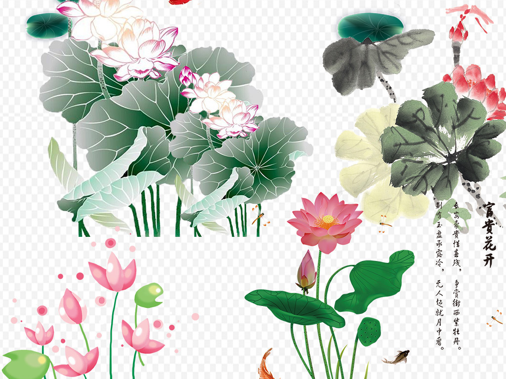 png免抠图荷花素材