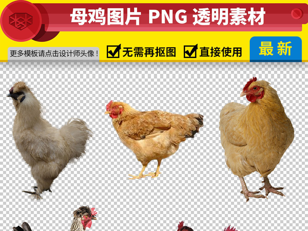 我图网提供精品流行各种母鸡图片免抠png透明素材下载,作品模板源文件可以编辑替换,设计作品简介: 各种母鸡图片免抠png透明素材 位图, RGB格式高清大图,使用软件为 Photoshop CC(.psd) 母鸡卡通图片大全 母鸡下蛋 老母鸡 农家老母鸡 老母鸡漫画 正宗老母鸡 水乡老母鸡 脱毛老母鸡 东北老母鸡