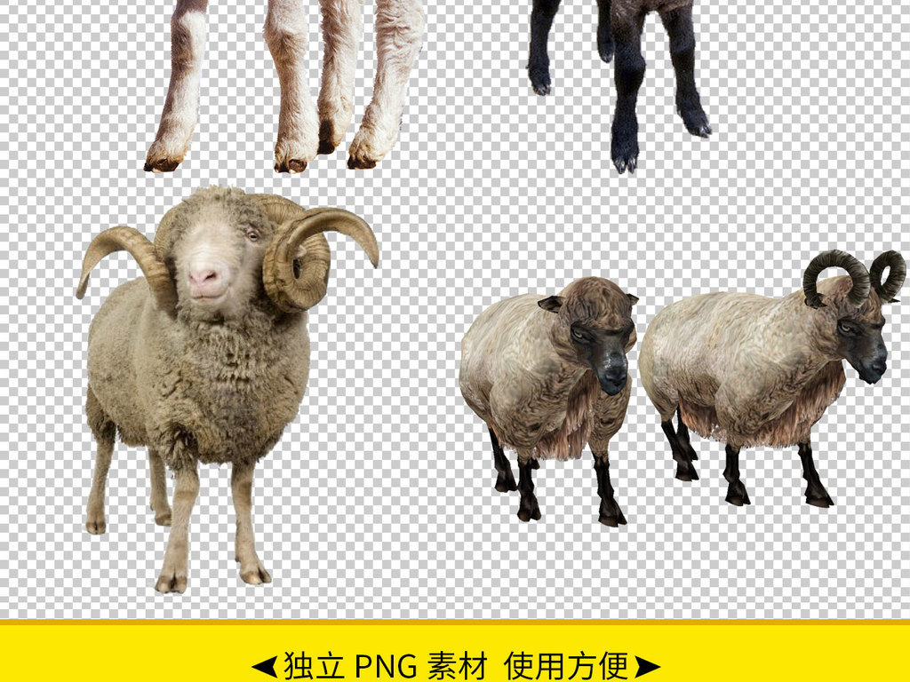 各种绵羊图片免抠png透明图层素材