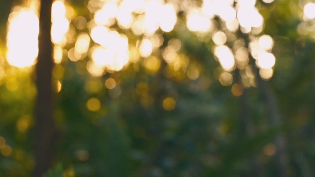 唯美阳光穿透树林小清新空镜头