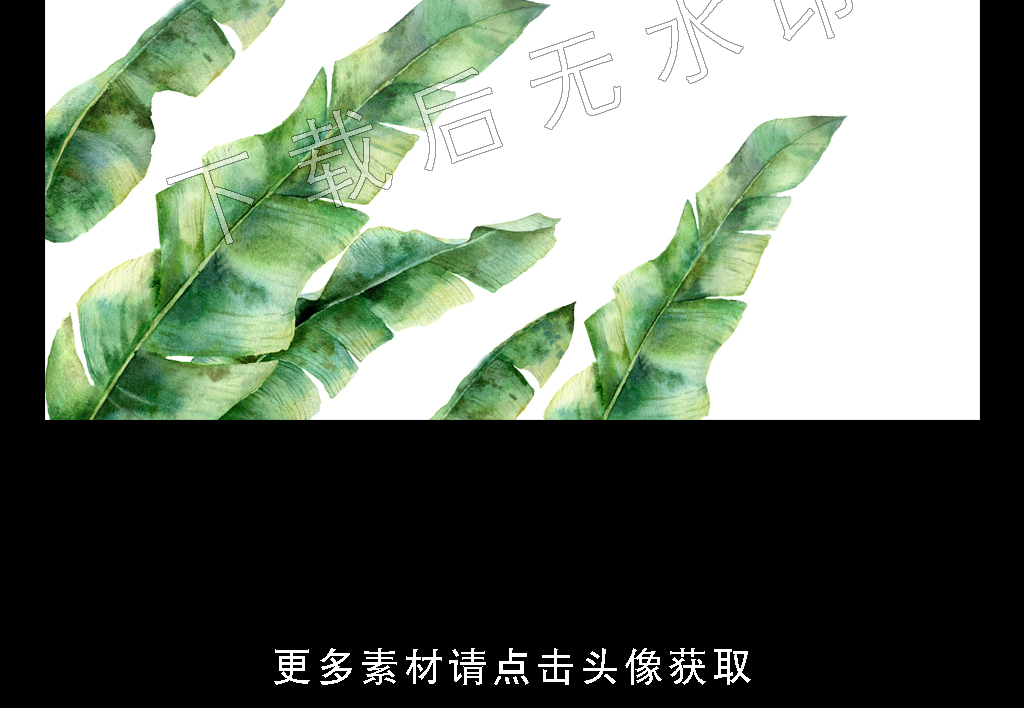 高清简约小清新北欧植物叶子装饰画图片