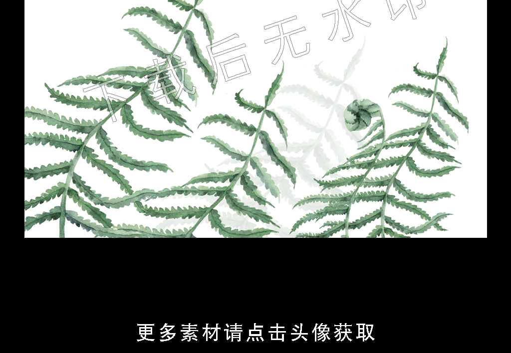 高清简约小清新北欧植物叶子装饰画图片