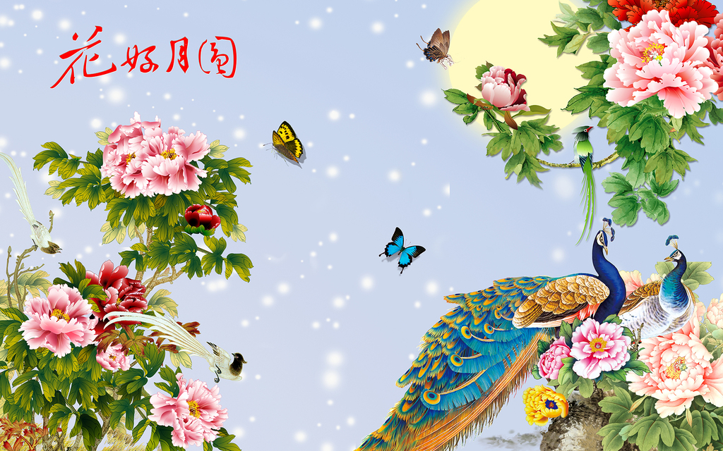 花好月圆牡丹孔雀