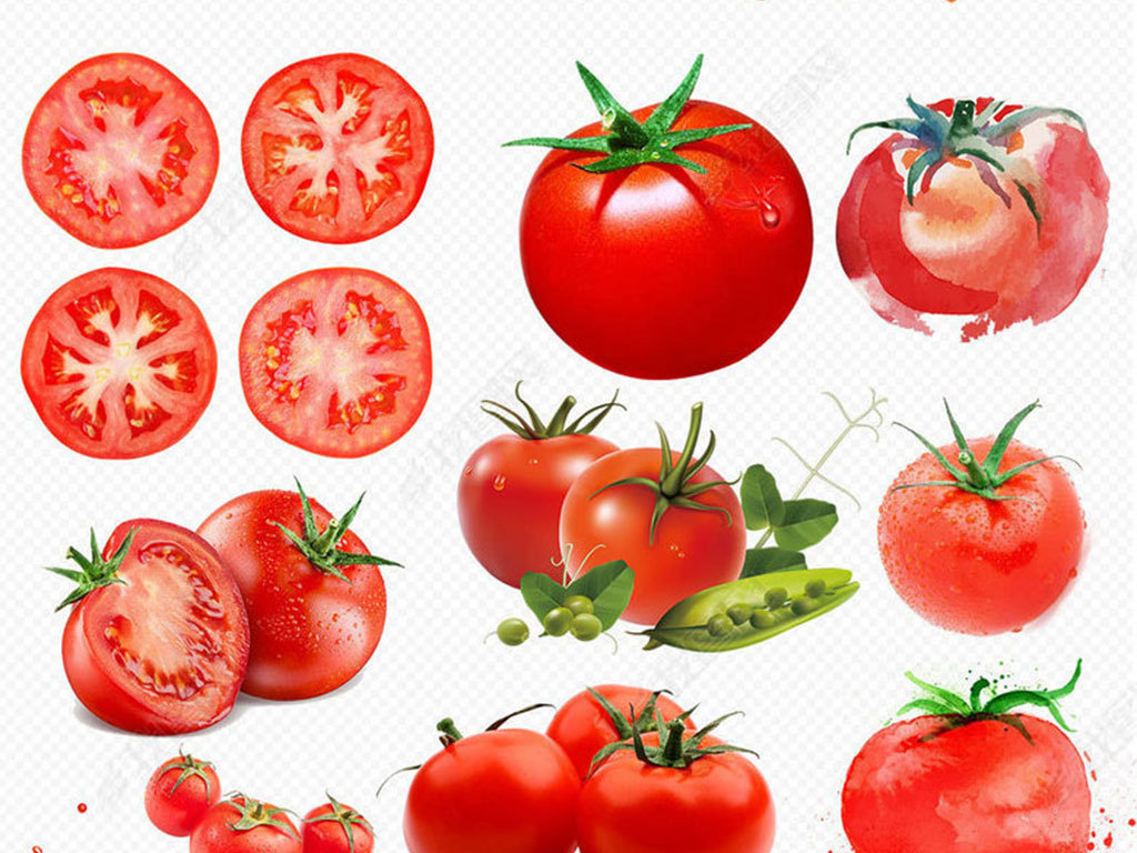 有机绿色蔬菜西红柿番茄圣女果png素材