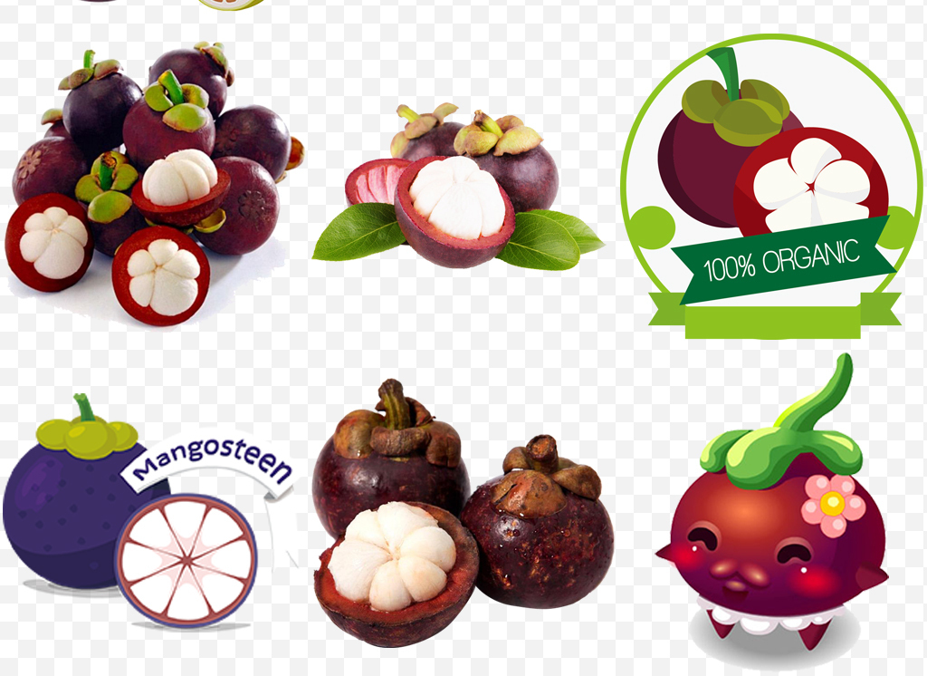 卡通实物水果皇后山竹png素材下载