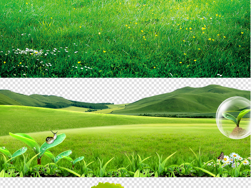 春季绿色草地草坪草丛高清PNG矢量元素