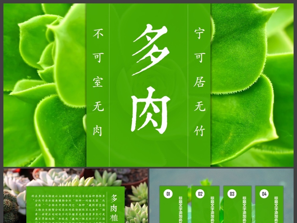 清新绿色多肉植物种植介绍动态ppt模板