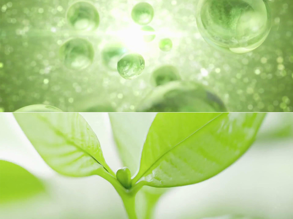 2017年绿色美容护肤植物精华补水化妆品护理细胞水分子