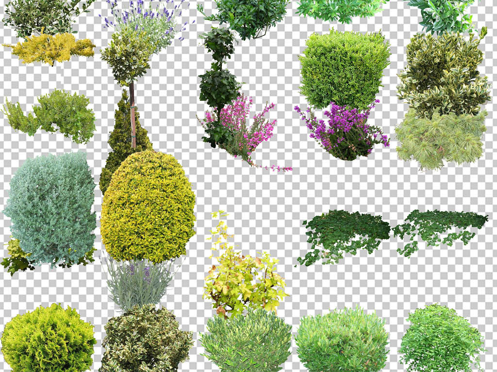 草本植物花草树木透明设计元素系列