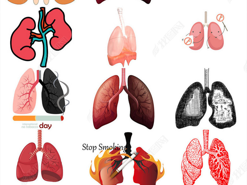 肺部图片