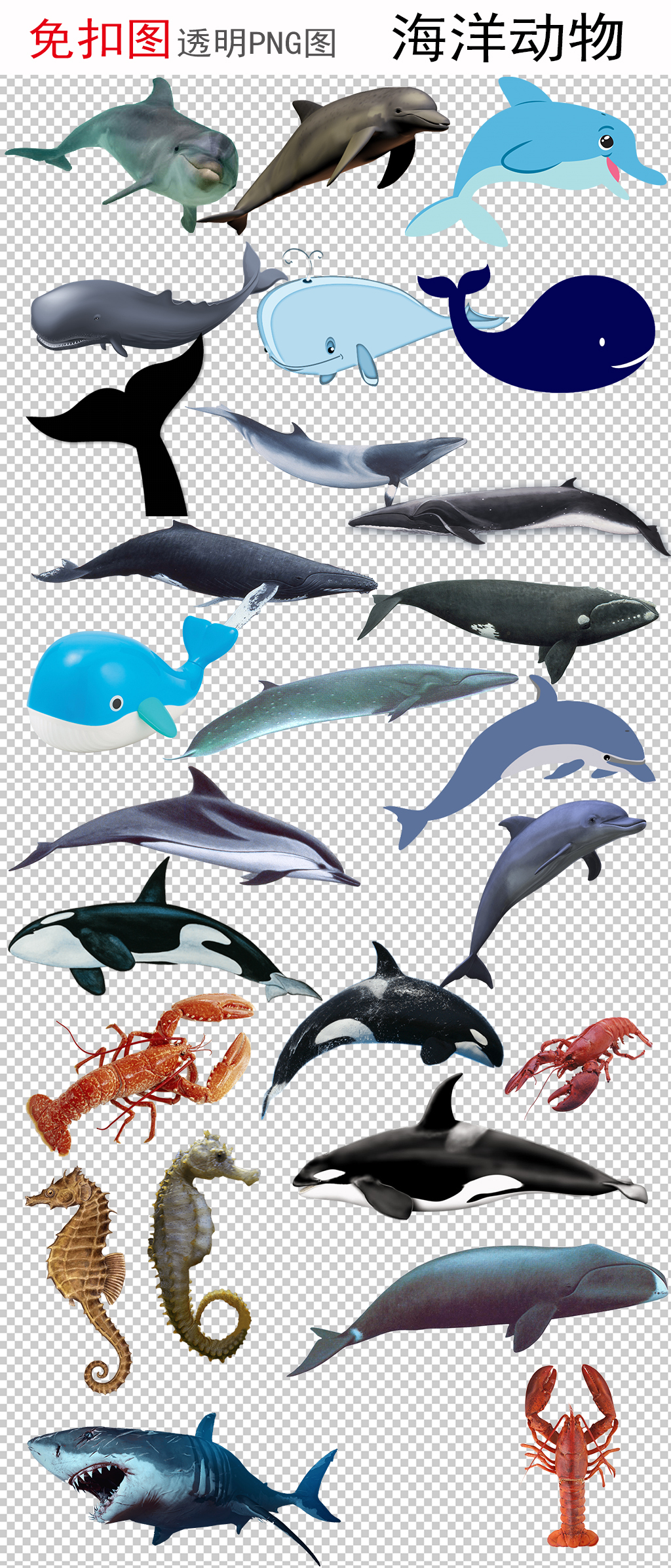 海洋动物透明png图